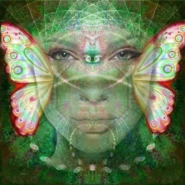 12376736_929087247174365_4233116343940886834_n